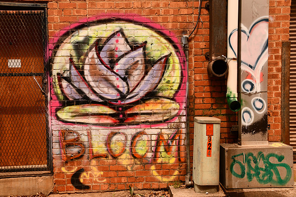 Bloom 0001