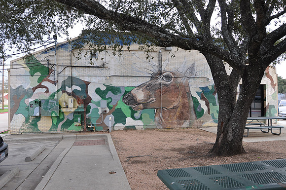 Montopolis Recreation Center 0001