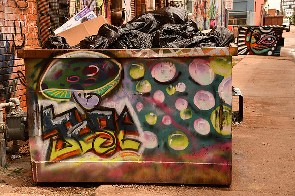 Dumpster 0001