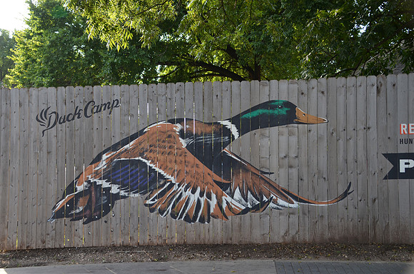 Duck Camp