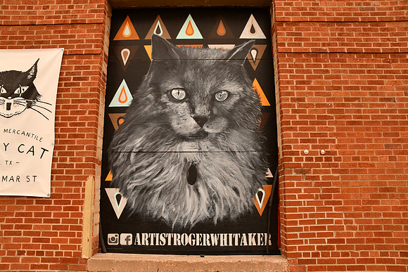 Cat at Alley Cat 0001