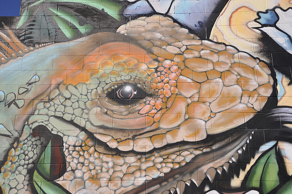 AAA Exotic Pets 0001b