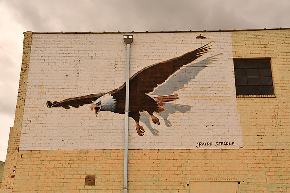 Eagle 0001