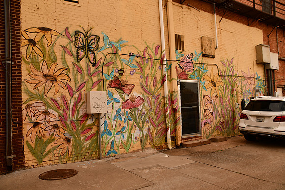Alley Flowers 0001a