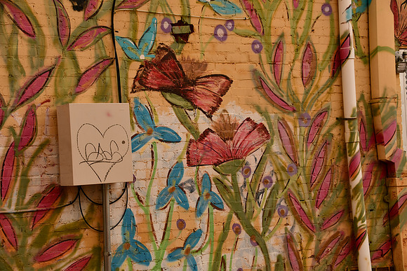 Alley Flowers 0001b