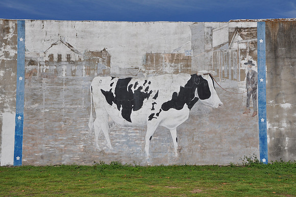 Cow