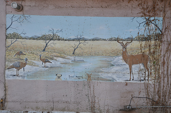 Wildlife 0001