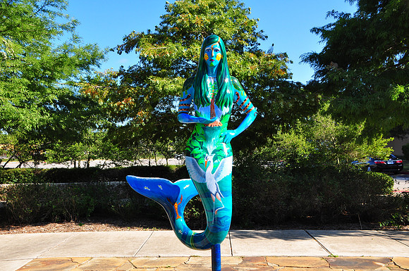 Aqua Reina 0001a