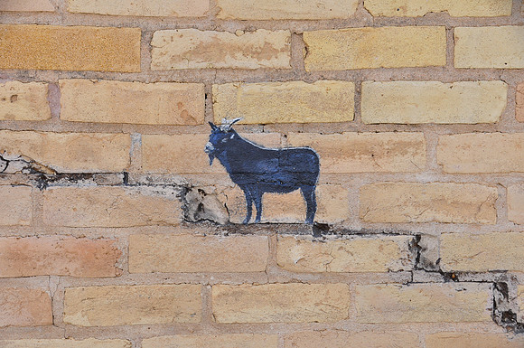 Goats on Wall 0001c