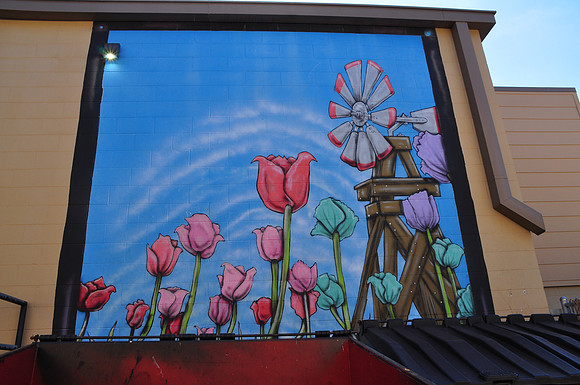 Tulips and Windmill