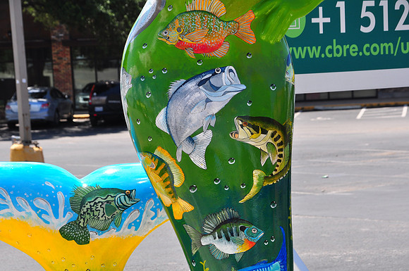 Fish of San Marcos Waters 0001b