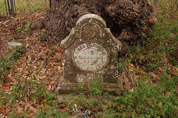 James Polk Johnson