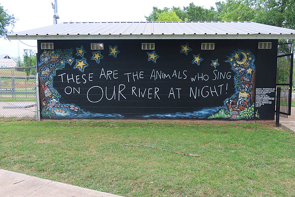 Night Animals 0001