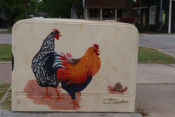 Electrical Box - Chickens 0001a