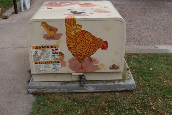 Electrical Box - Chickens 0001c