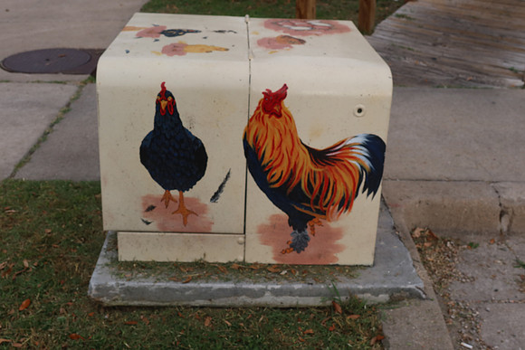 Electrical Box - Chickens 0001d