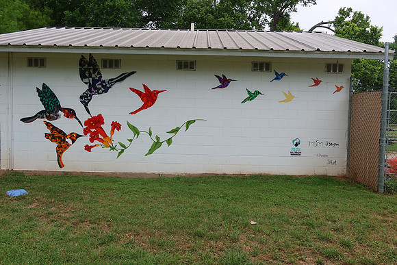 Hummingbirds 0001