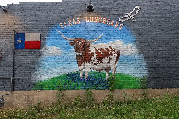 Longhorn 0001