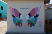 Native Birds of Rockport 0001