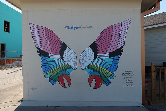 Native Birds of Rockport 0001