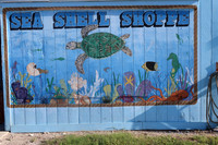 Sea Shell Shoppe 0001