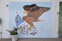 Eagle 0001