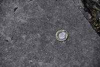 Litter - Cedar Park 0019