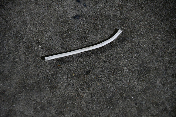 Litter - Cedar Park 0016