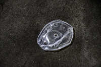 Litter - Cedar Park 0013