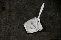 Litter - Cedar Park 0002