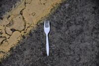 Litter - Cedar Park 0012