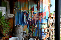 Colorful Longhorn 0001