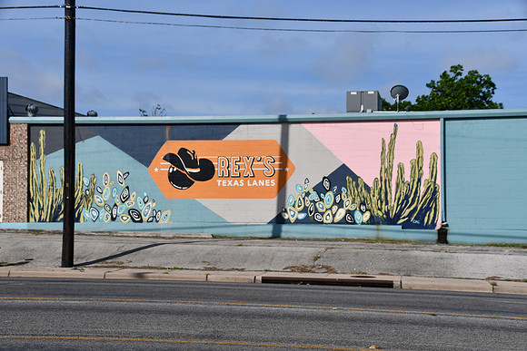 Cactus Mural 0001