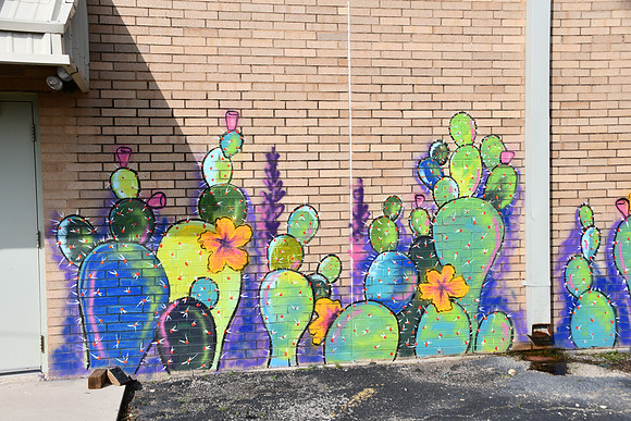 Colorful Cactus 0001e