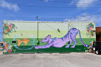 Cat & Fish Mural 0001a