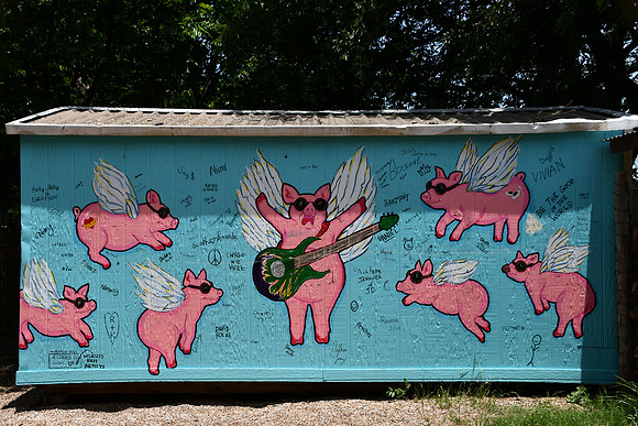 Flying Pigs Mural 0001