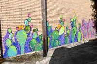 Colorful Cactus 0001f