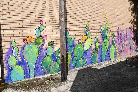 Colorful Cactus 0001f