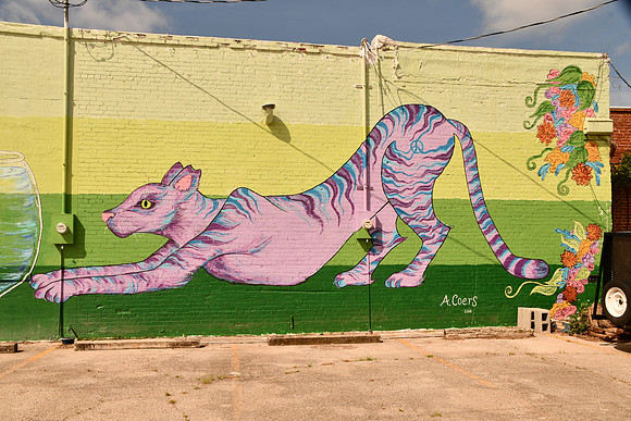 Cat & Fish Mural 0001c