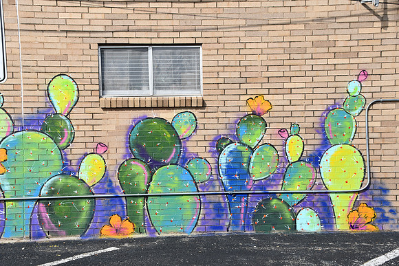 Colorful Cactus 0001c