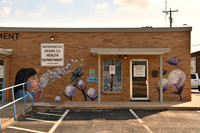 Health Department Mural 0001b