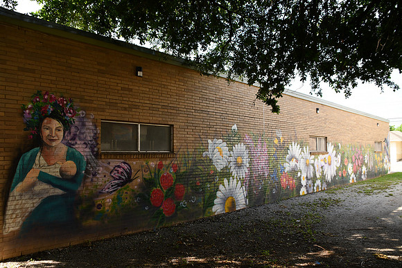 Health Department Mural 0001e