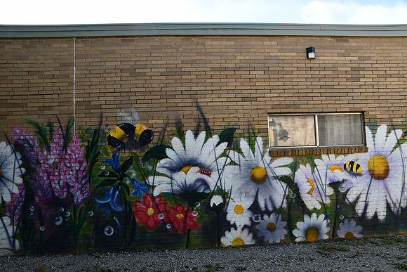 Health Department Mural 0001h