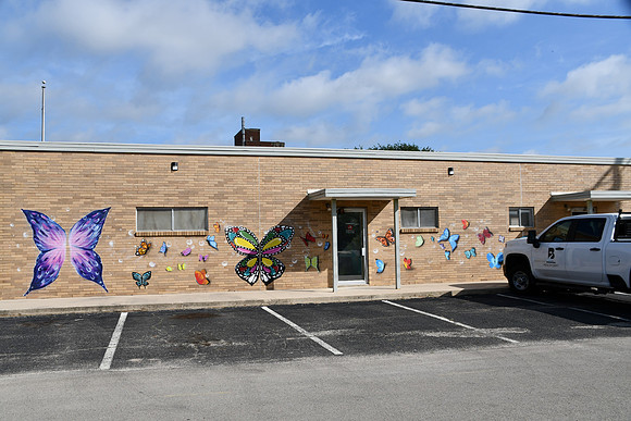 Butterfly Wall 0001