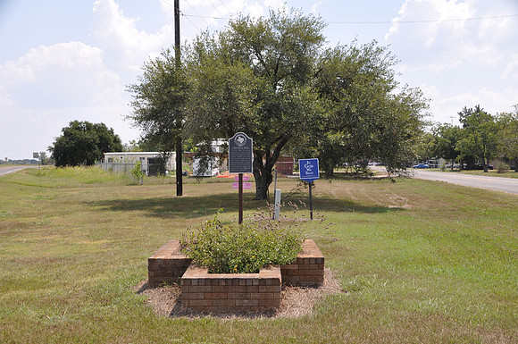 Community of Snook