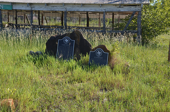 Site of Old Town of Union Valley