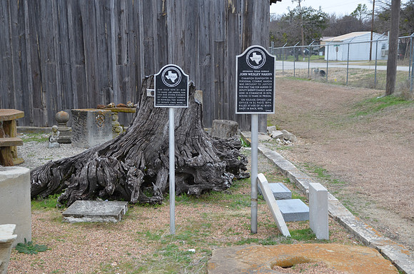Hanging Oak