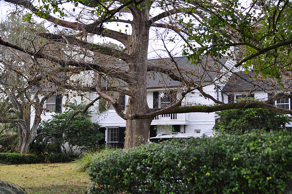 J. Meredith Tatton House