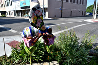 Beeville Bee 0006a