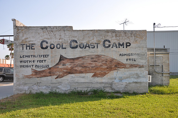 Cool Coast Camp